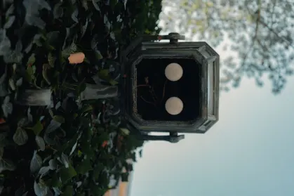 SpinTropolis Casino Farsímaforrit